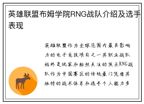 英雄联盟布姆学院RNG战队介绍及选手表现